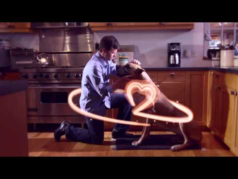 Видео о препарате Ветмедин капсулы 1,25мг №100 (100 капсул)